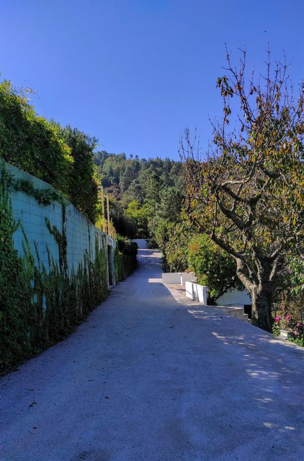Pera Da Serra - Turismo No Espaco Rural Lousã Eksteriør bilde